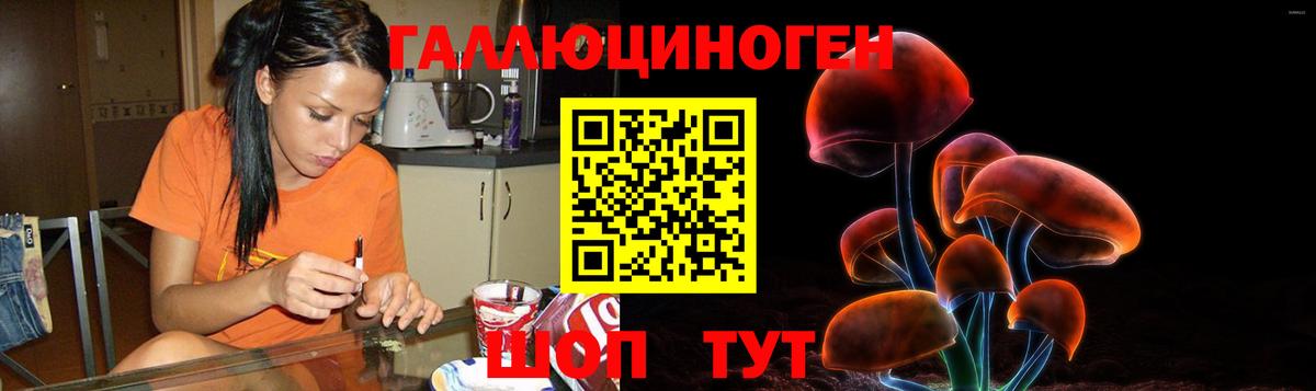 Истра  Псилоцибиновые грибы мухоморы  Вход с VPN 